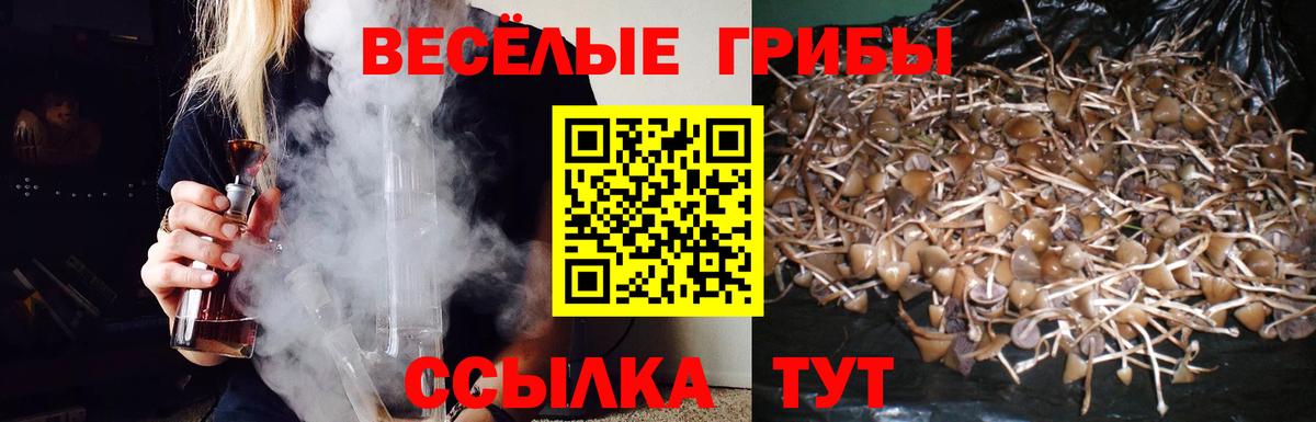 Галлюциногенные грибы Cubensis  Вход с VPN  Сертолово  Псилоцибиновые грибы ЛСД 