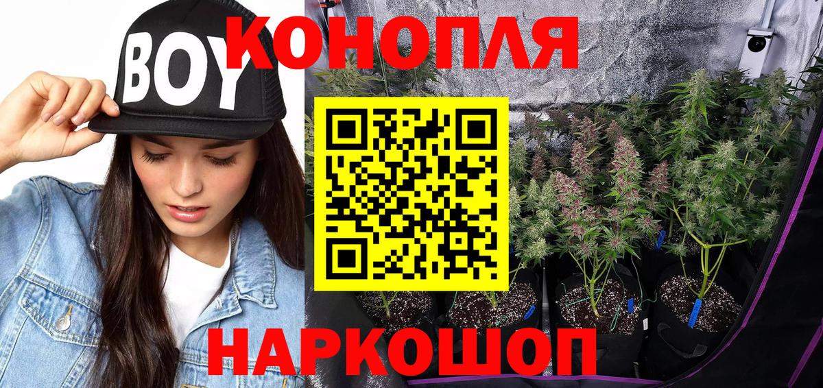 Каннабис White Widow Сертолово